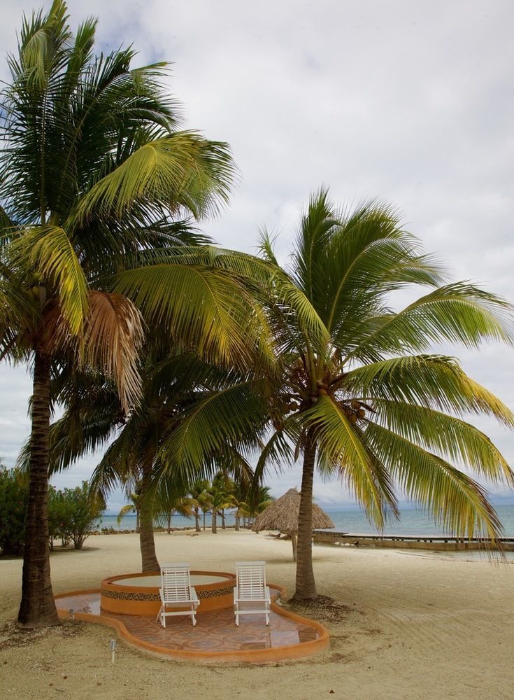 Royal Belize Hotel Thatch Caye Luaran gambar