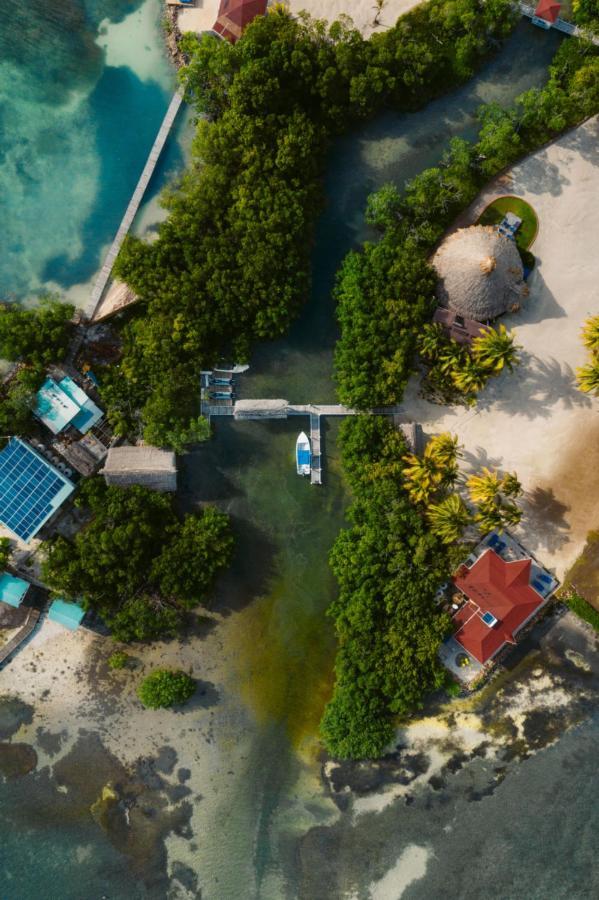 Royal Belize Hotel Thatch Caye Luaran gambar